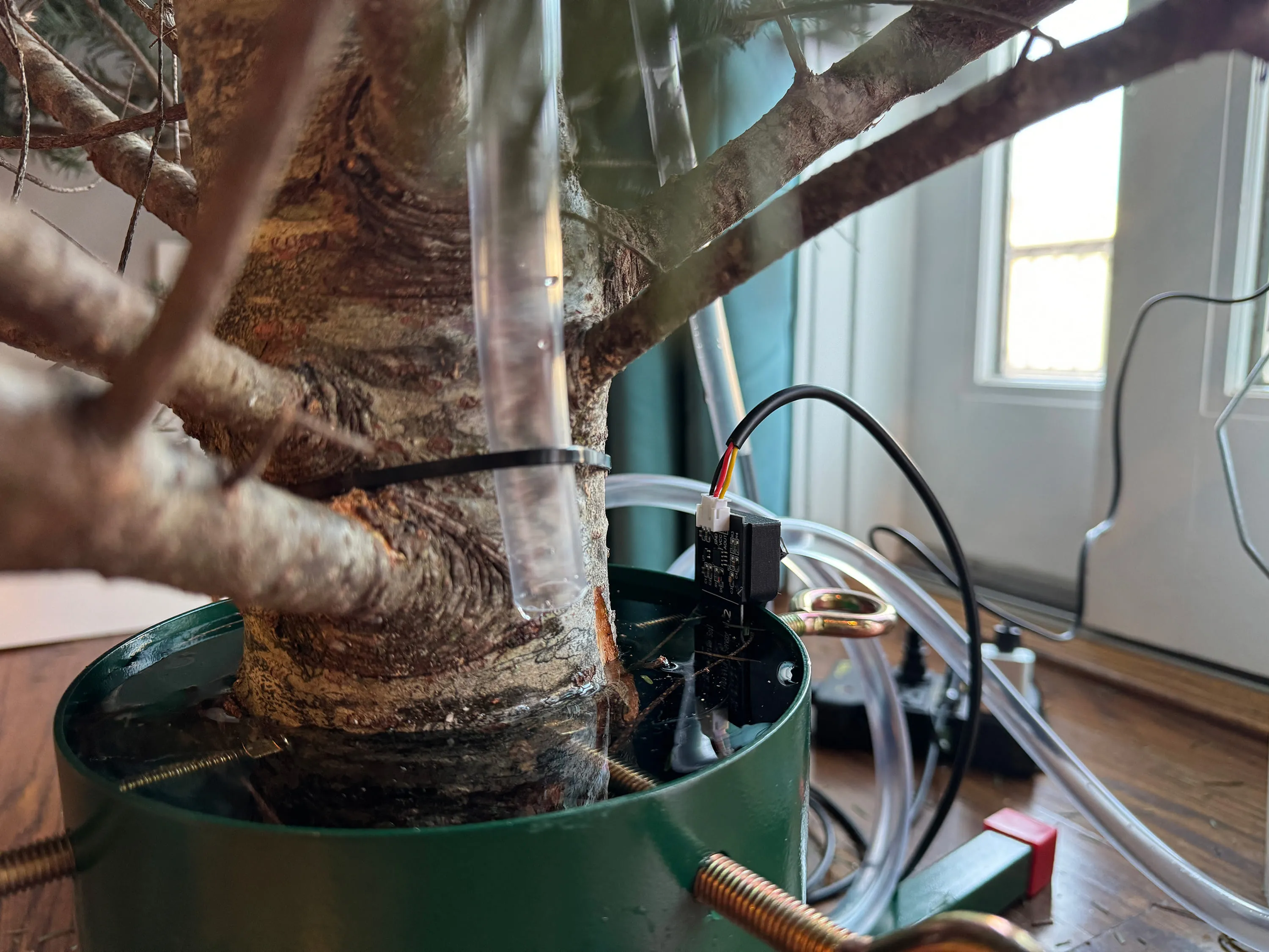 Under a Christmas tree of the water tube and sensor attached to the base of the tree