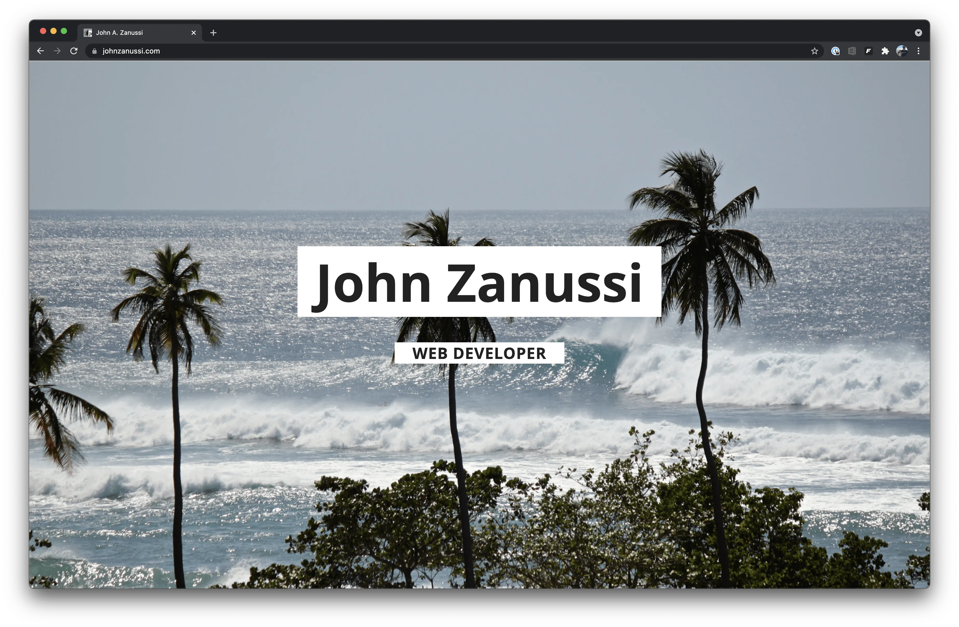 Screen shot of johnzanussi.com from 2021